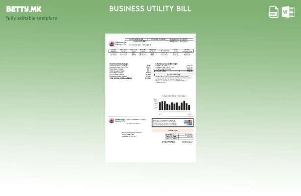 Бизнис сметка за комунални услуги во округот Хилсборо во САД